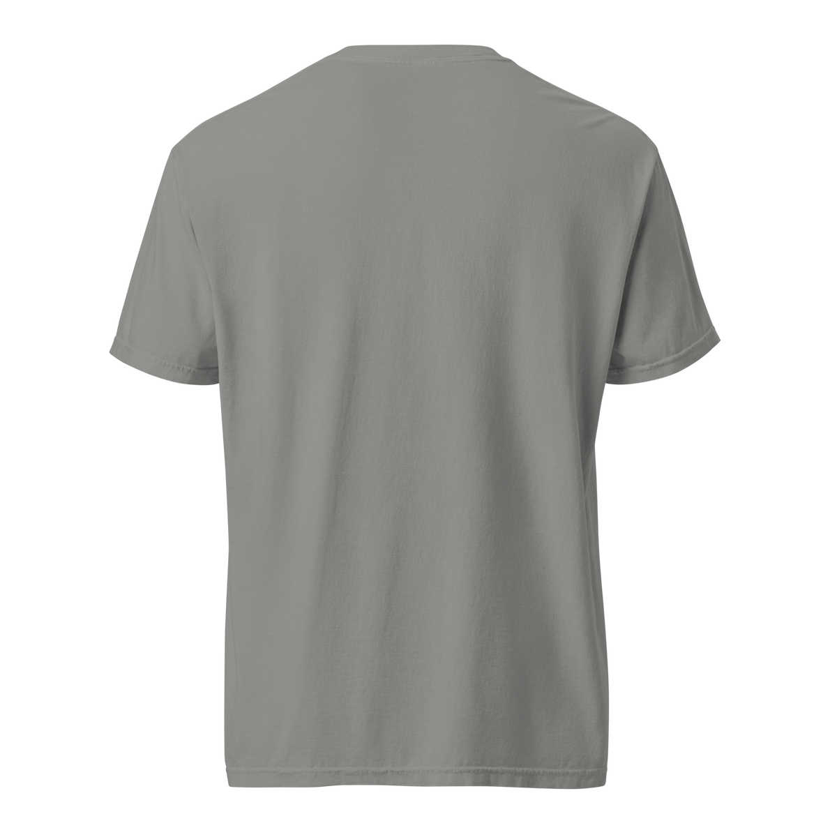The Scenic Route — Grin Dwellers Grey heavyweight garment-dyed tee, back view